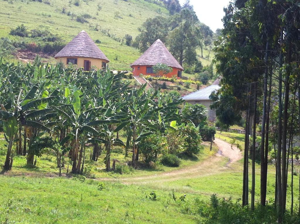 Nyore Hillside Retreat Mbarara Extérieur photo
