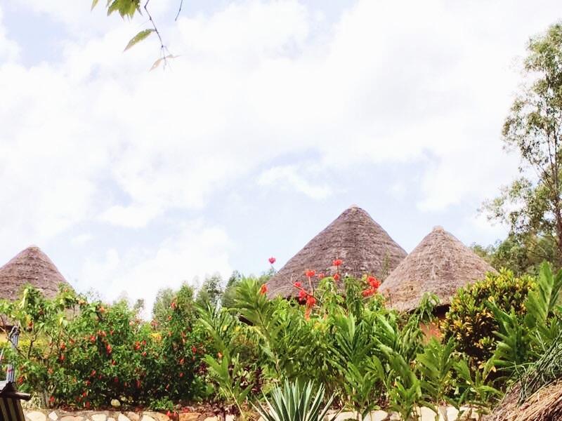 Nyore Hillside Retreat Mbarara Extérieur photo