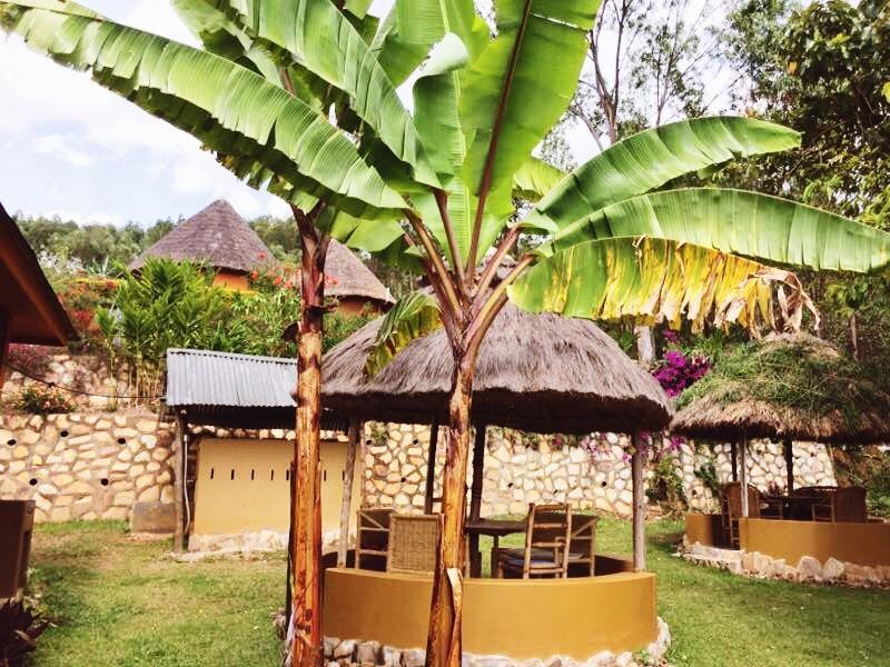 Nyore Hillside Retreat Mbarara Extérieur photo