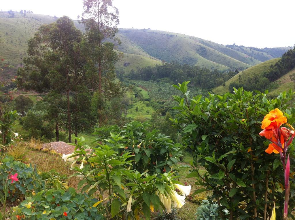 Nyore Hillside Retreat Mbarara Extérieur photo