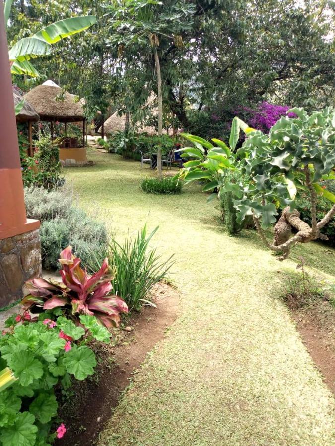 Nyore Hillside Retreat Mbarara Extérieur photo